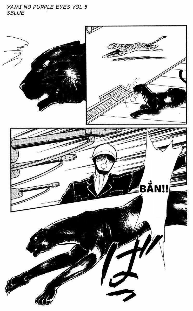 Yami No Purple Eyes Chapter 28 trang 31