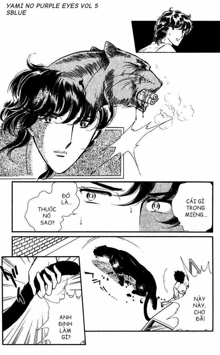 Yami No Purple Eyes Chapter 29 trang 13