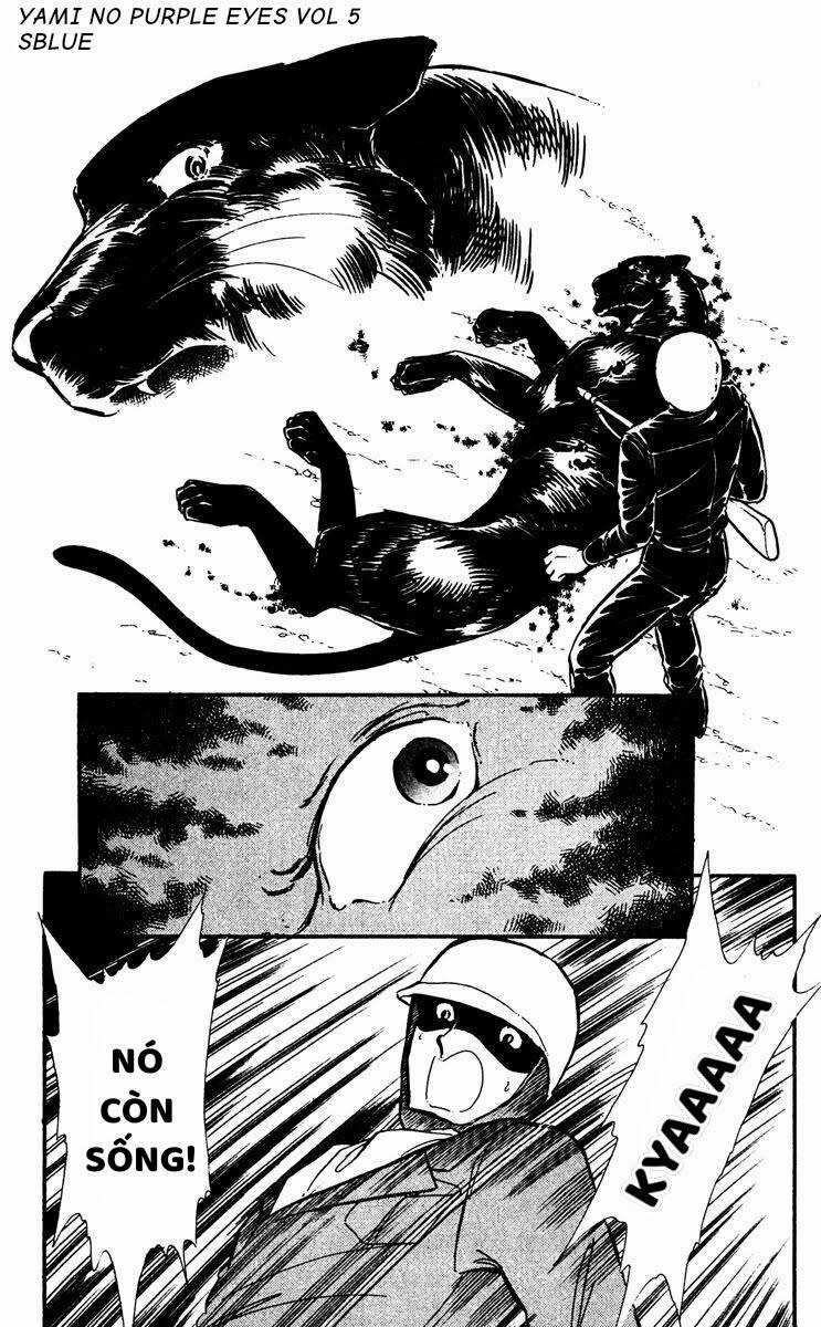 Yami No Purple Eyes Chapter 29 trang 5