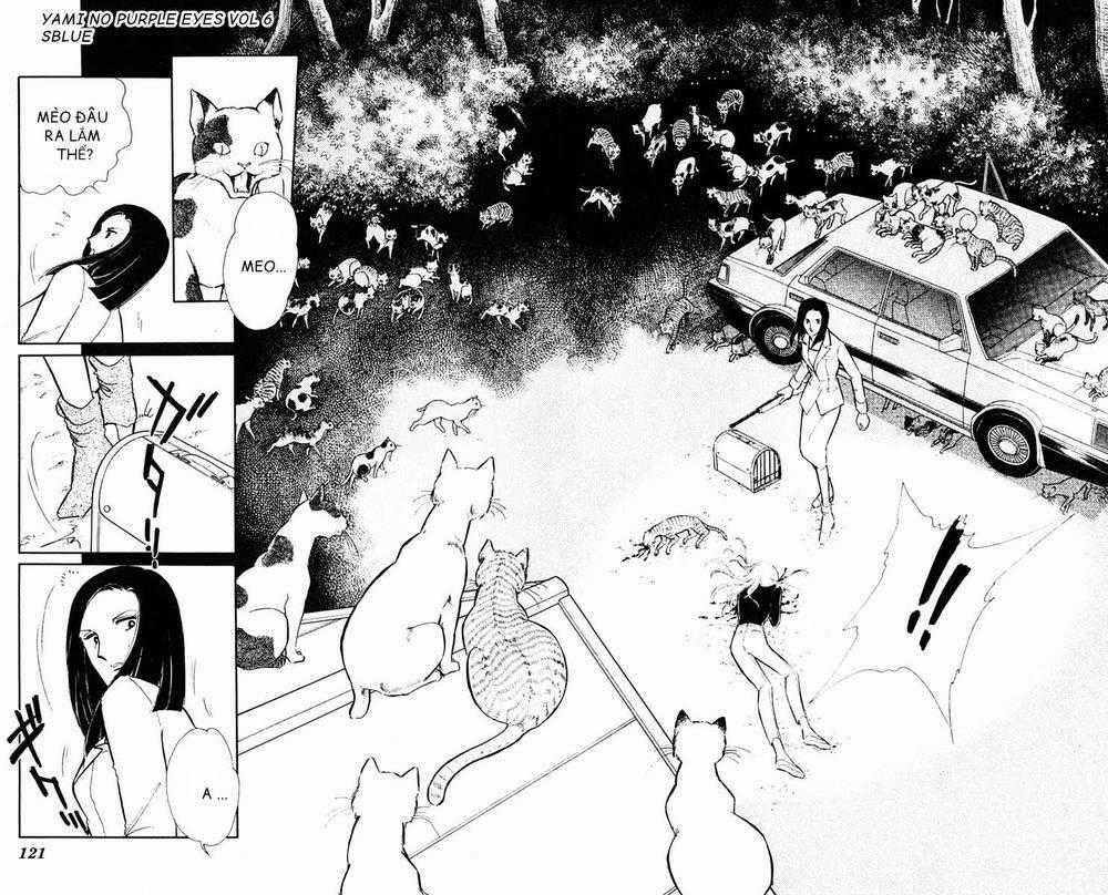 Yami No Purple Eyes Chapter 34 trang 29