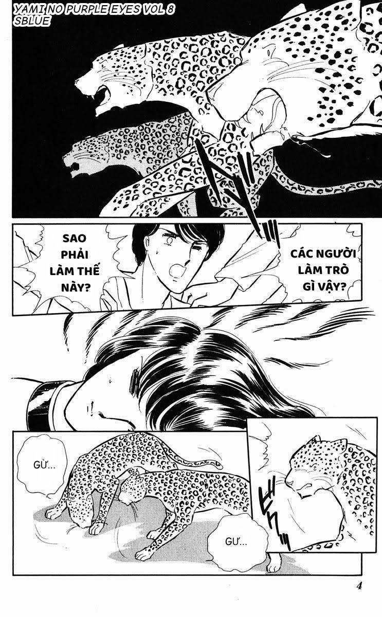 Yami No Purple Eyes Chapter 43 trang 7