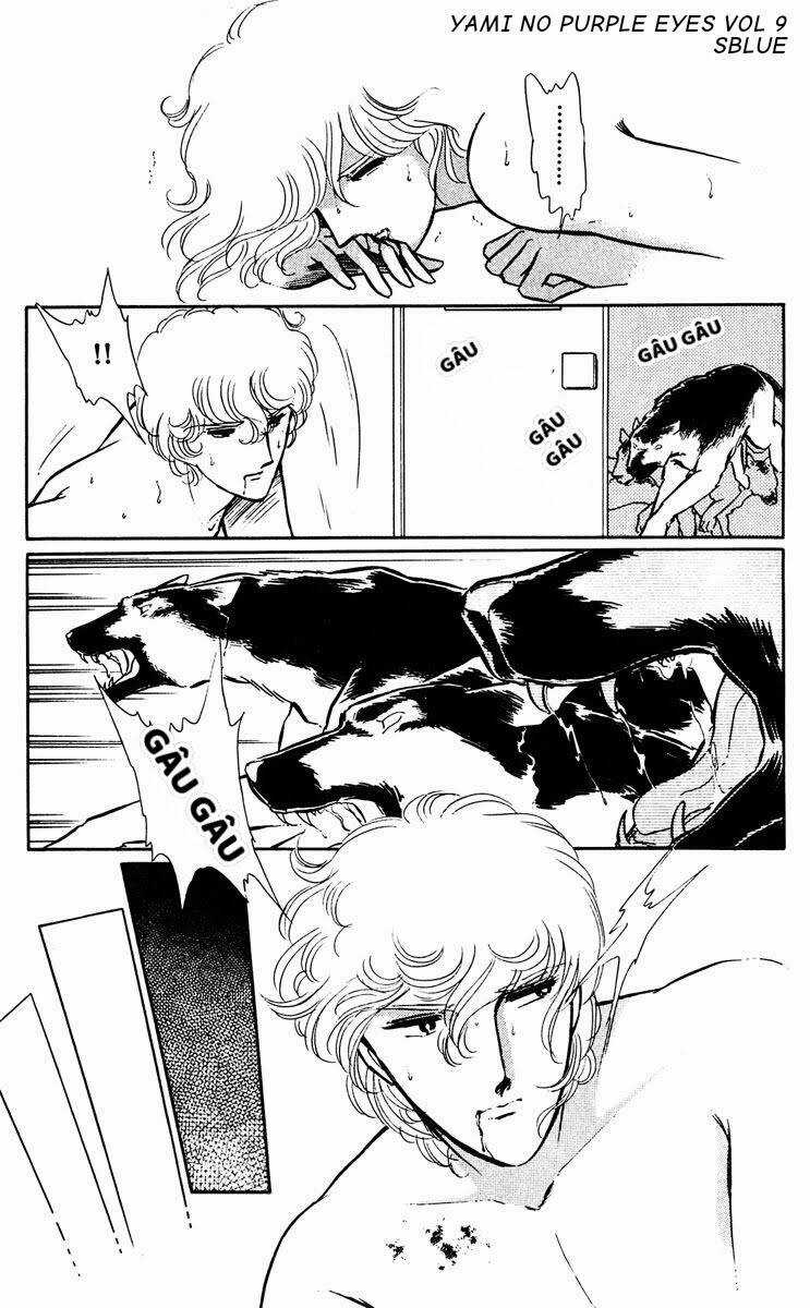 Yami No Purple Eyes Chapter 50 trang 24