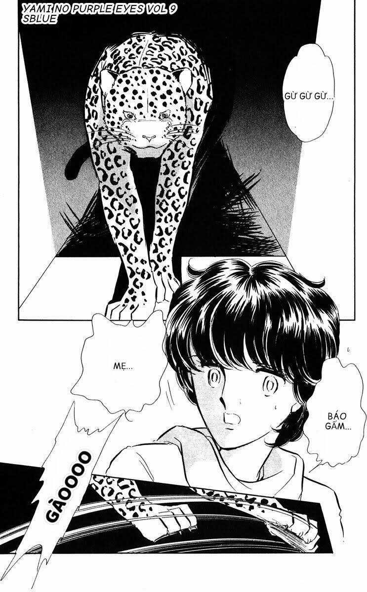 Yami No Purple Eyes Chapter 50 trang 30