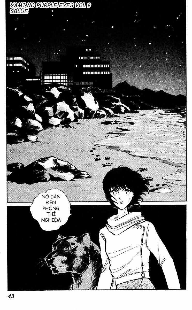Yami No Purple Eyes Chapter 50 trang 4