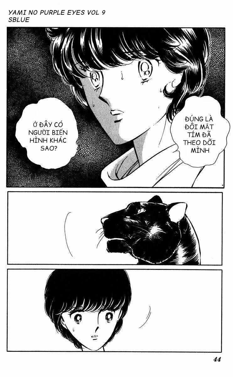Yami No Purple Eyes Chapter 50 trang 5