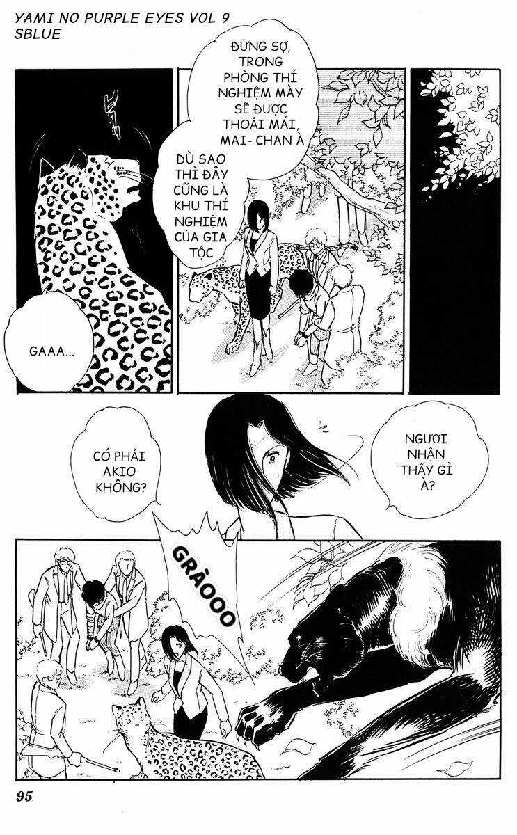 Yami No Purple Eyes Chapter 51 trang 17