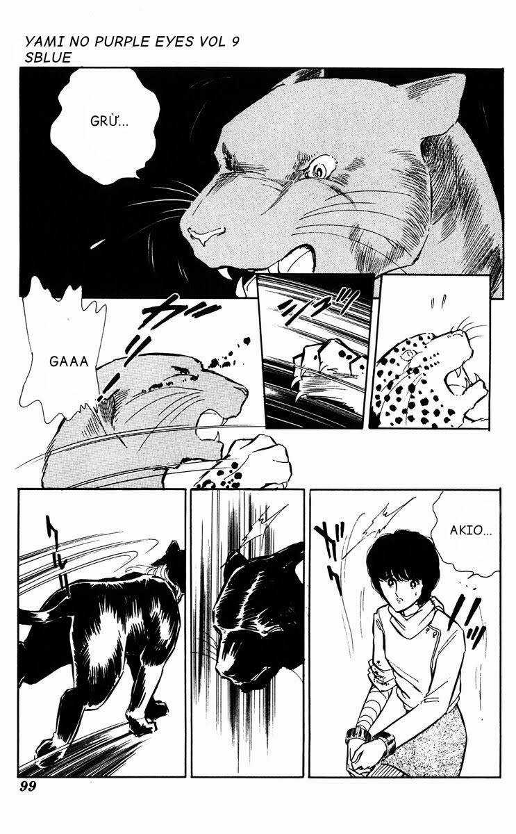 Yami No Purple Eyes Chapter 51 trang 21