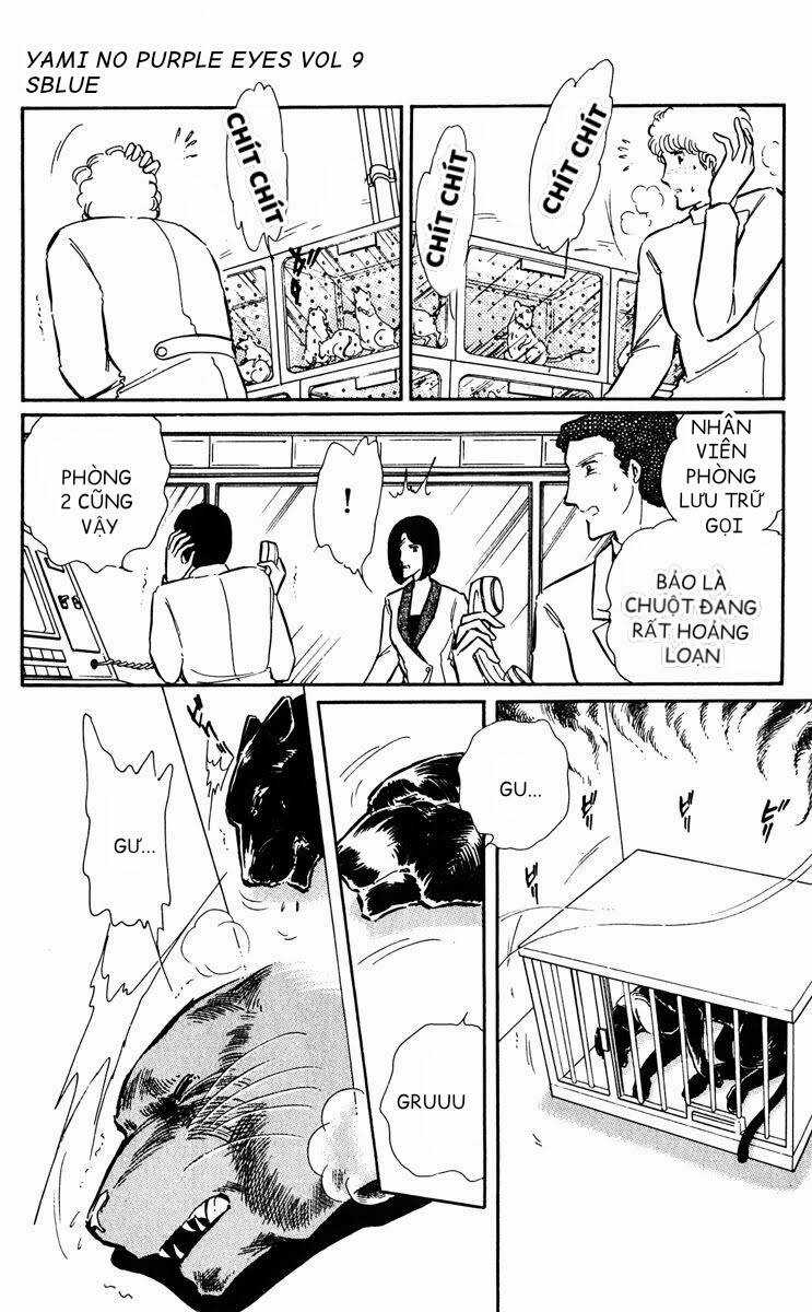 Yami No Purple Eyes Chapter 53 trang 22