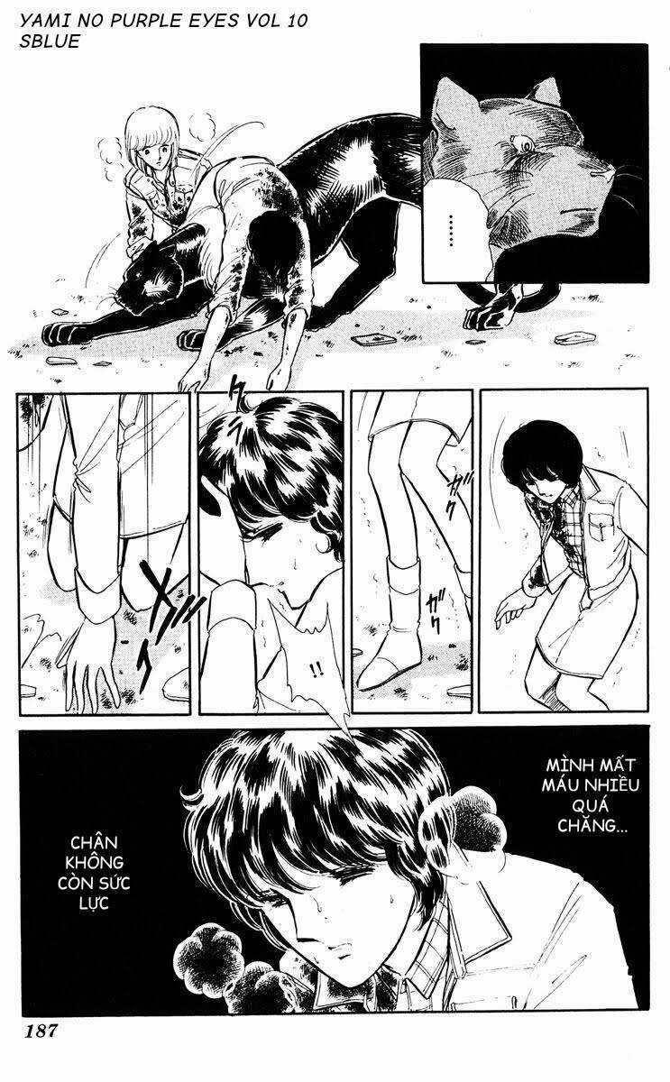 Yami No Purple Eyes Chapter 60 trang 37