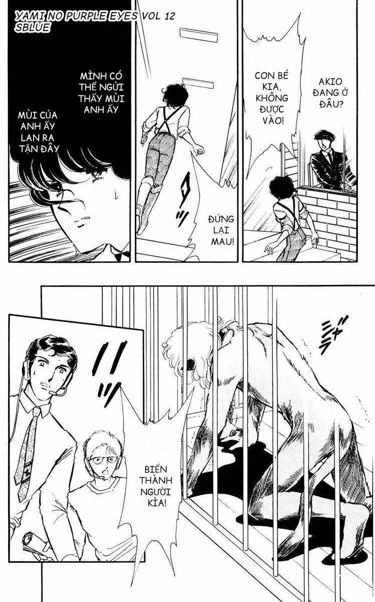Yami No Purple Eyes Chapter 69 trang 15
