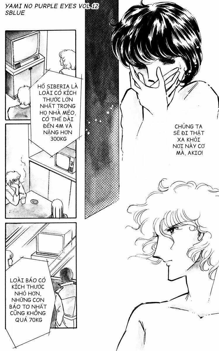 Yami No Purple Eyes Chapter 69 trang 3