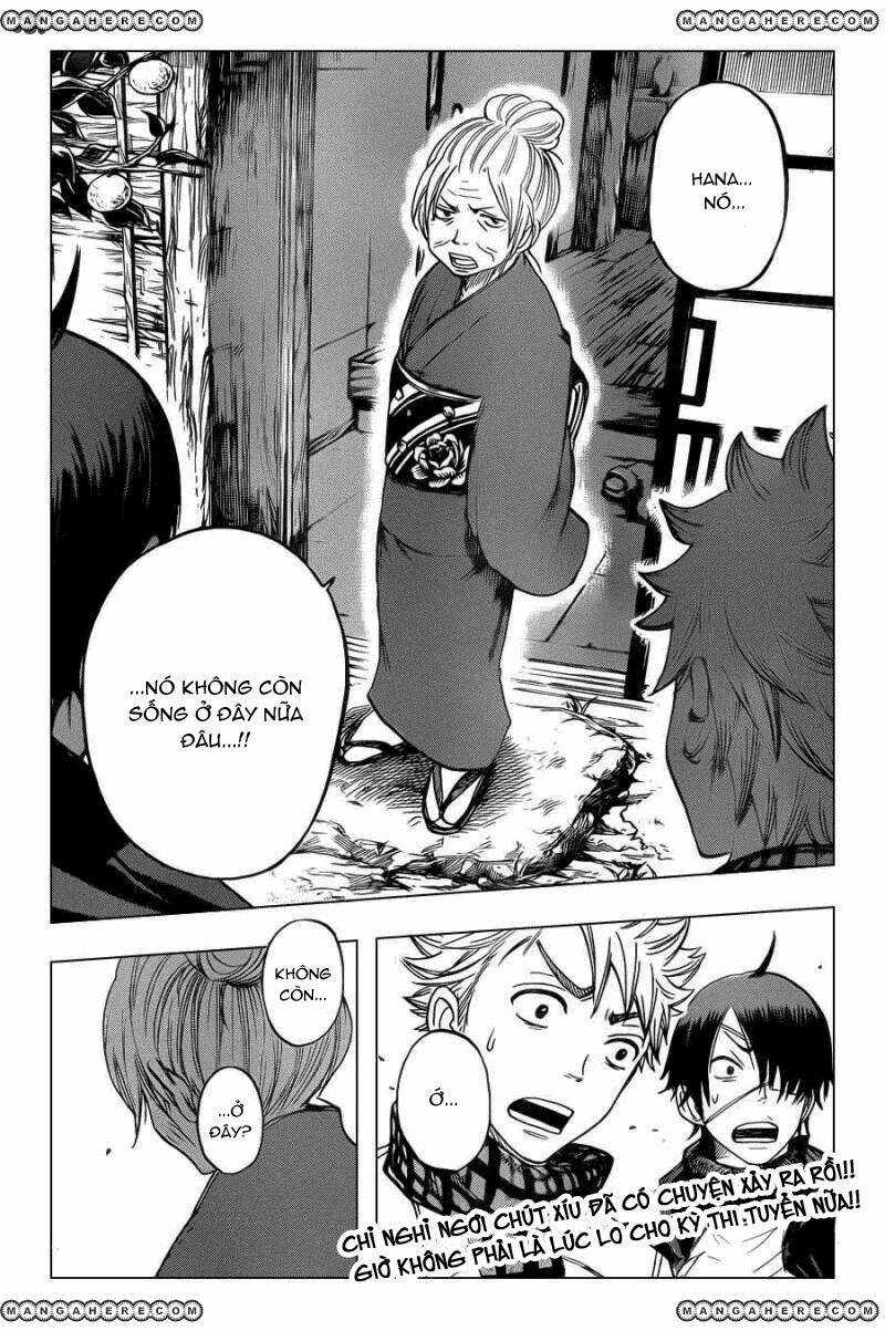 Yankee-Kun To Megane-Chan - Nhóc Quậy Và Nhỏ 4 Mắt Chapter 197 trang 20