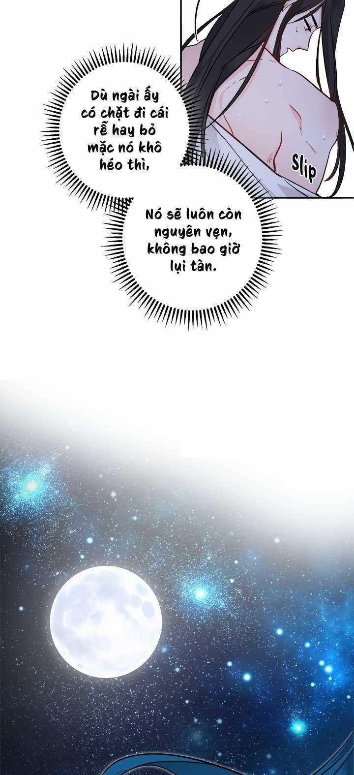 Yeon Lok Heun Chapter 63 trang 33