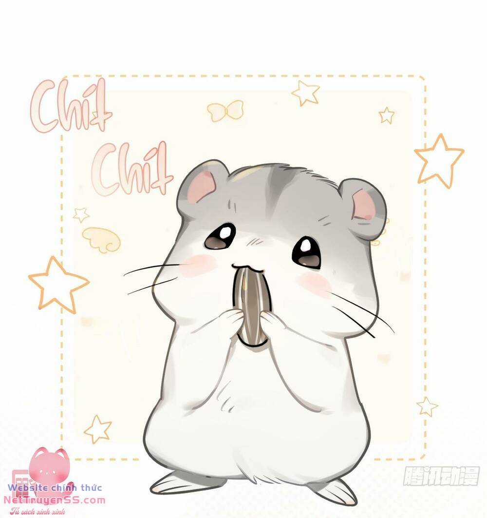 Yêu Đương Không Bằng Thả Thính Idol Chapter 19 trang 62