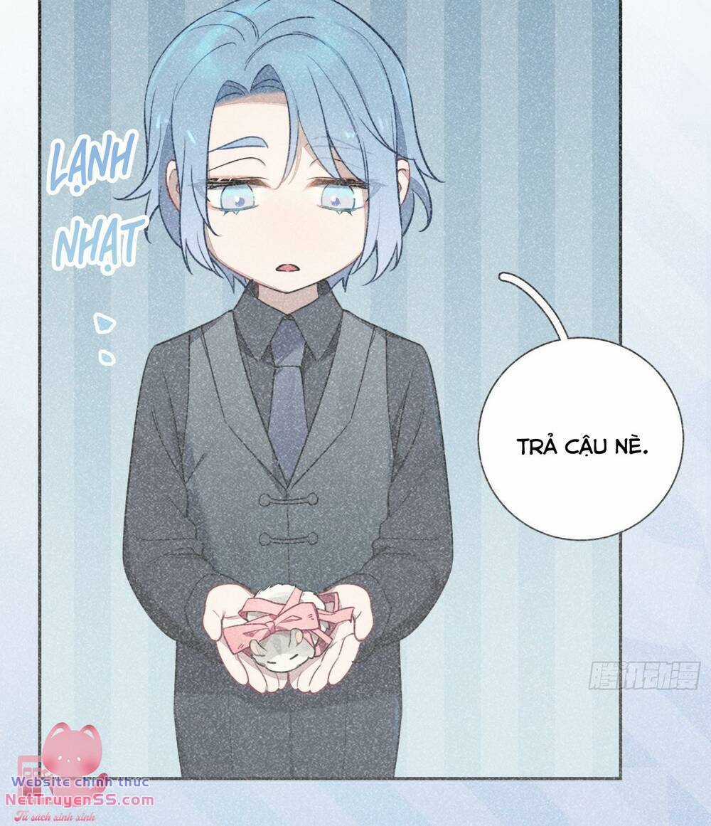 Yêu Đương Không Bằng Thả Thính Idol Chapter 19 trang 73