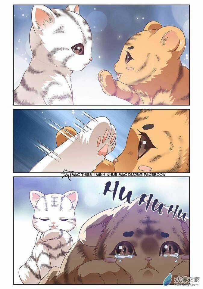 Yêu Em Từ Cái Nhìn Đầu Tiên Chapter 6 trang 3