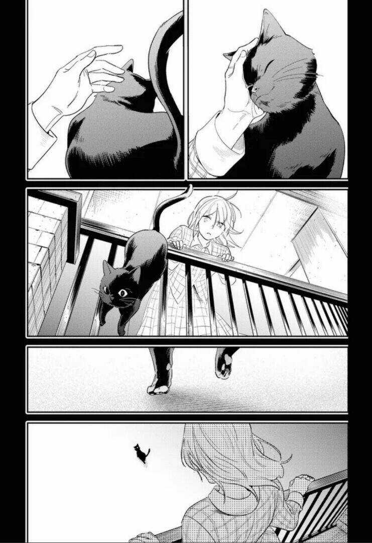 Yêu Hận Tình Thù Chapter 75 trang 15