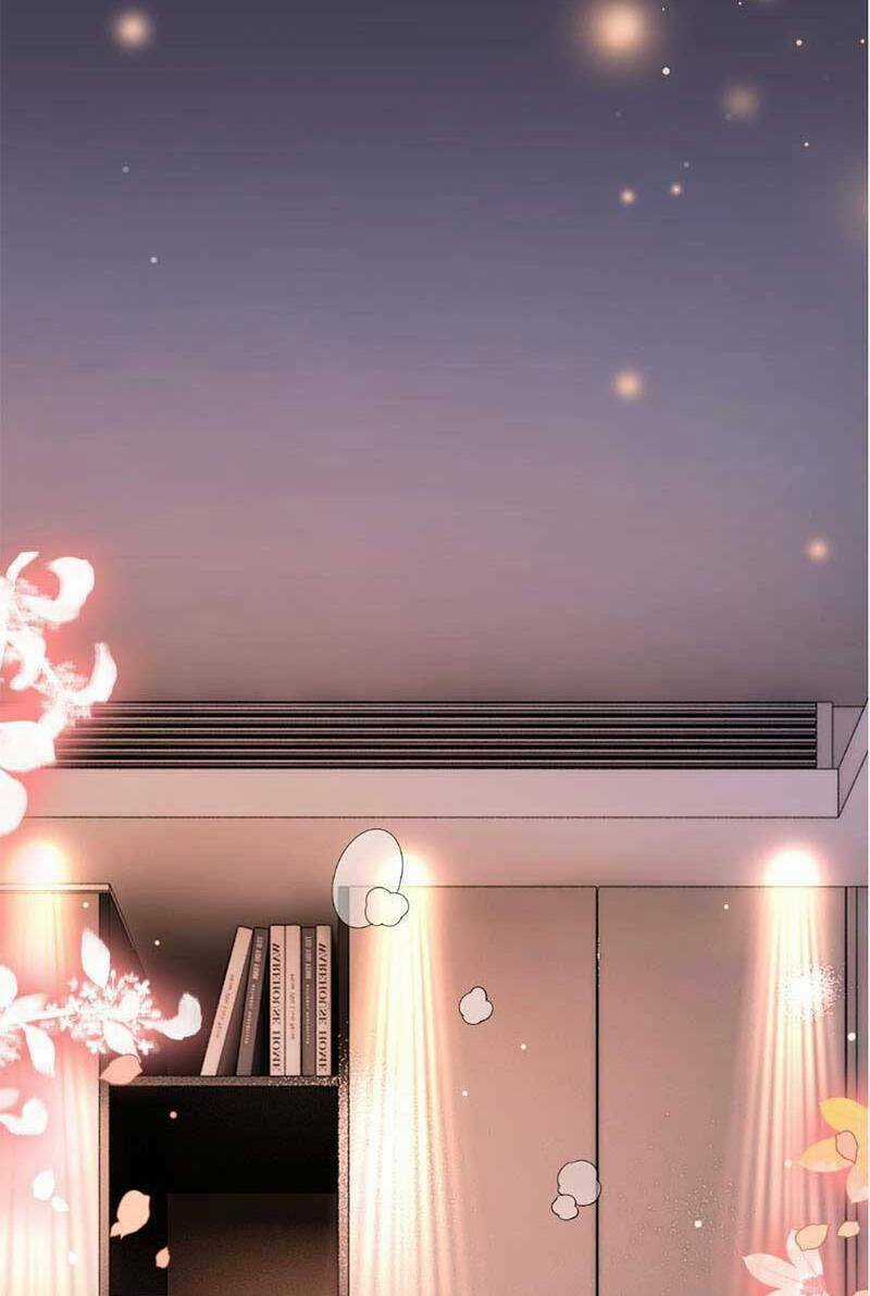 Yêu Lại Sau Một Đêm Bên Nhau Chapter 11 trang 4