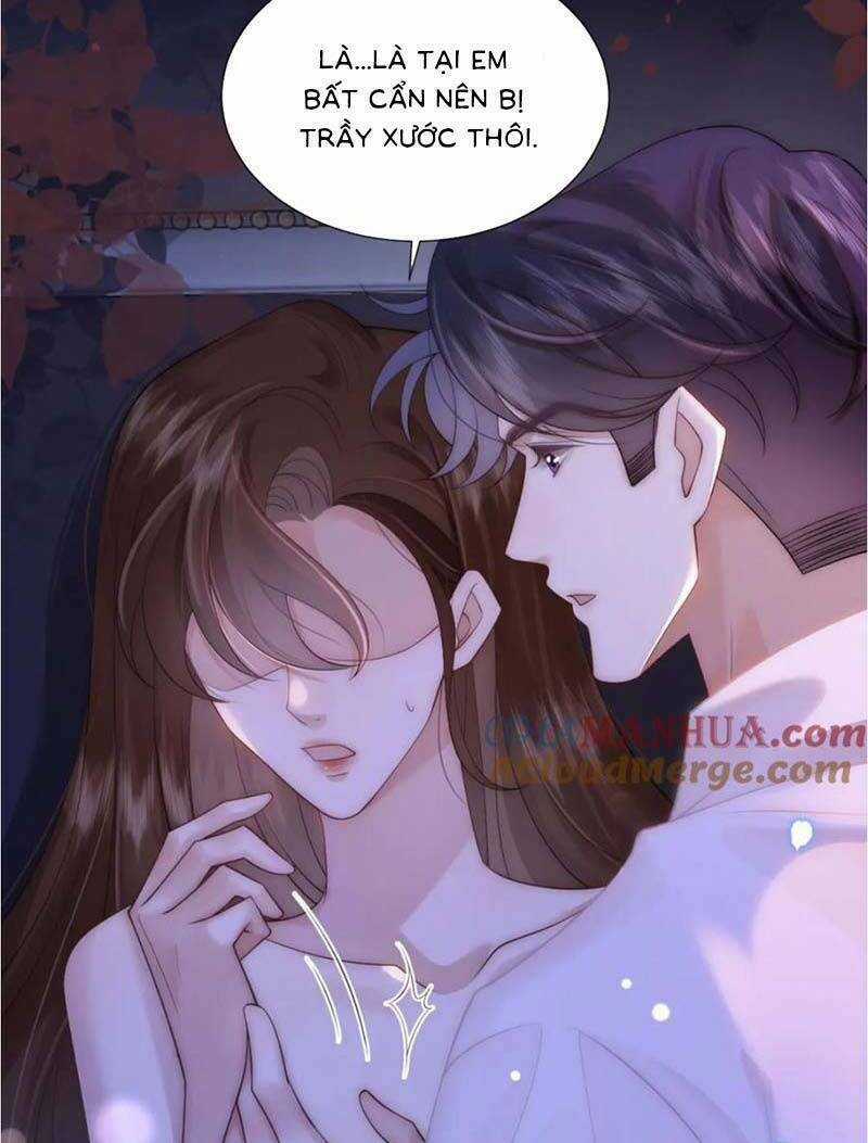 Yêu Lại Sau Một Đêm Bên Nhau Chapter 38 trang 14