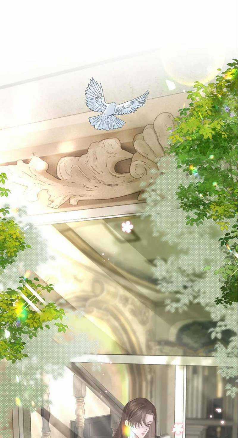 Yêu Lại Sau Một Đêm Bên Nhau Chapter 38 trang 20