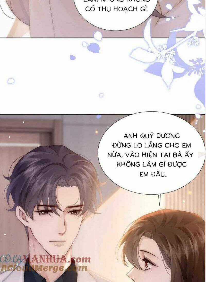 Yêu Lại Sau Một Đêm Bên Nhau Chapter 41 trang 3