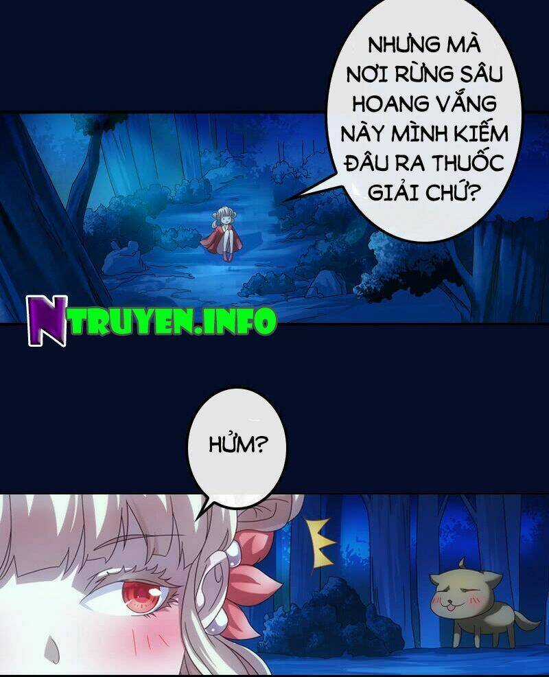 Yêu Phi Bám Lấy Không Buông Chapter 2 trang 5