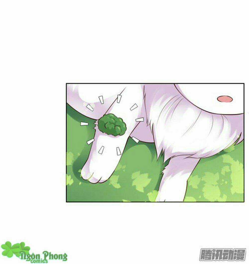 Yêu Phu! Xin Ngươi Hưu Ta Đi Mà! Chapter 11 trang 15