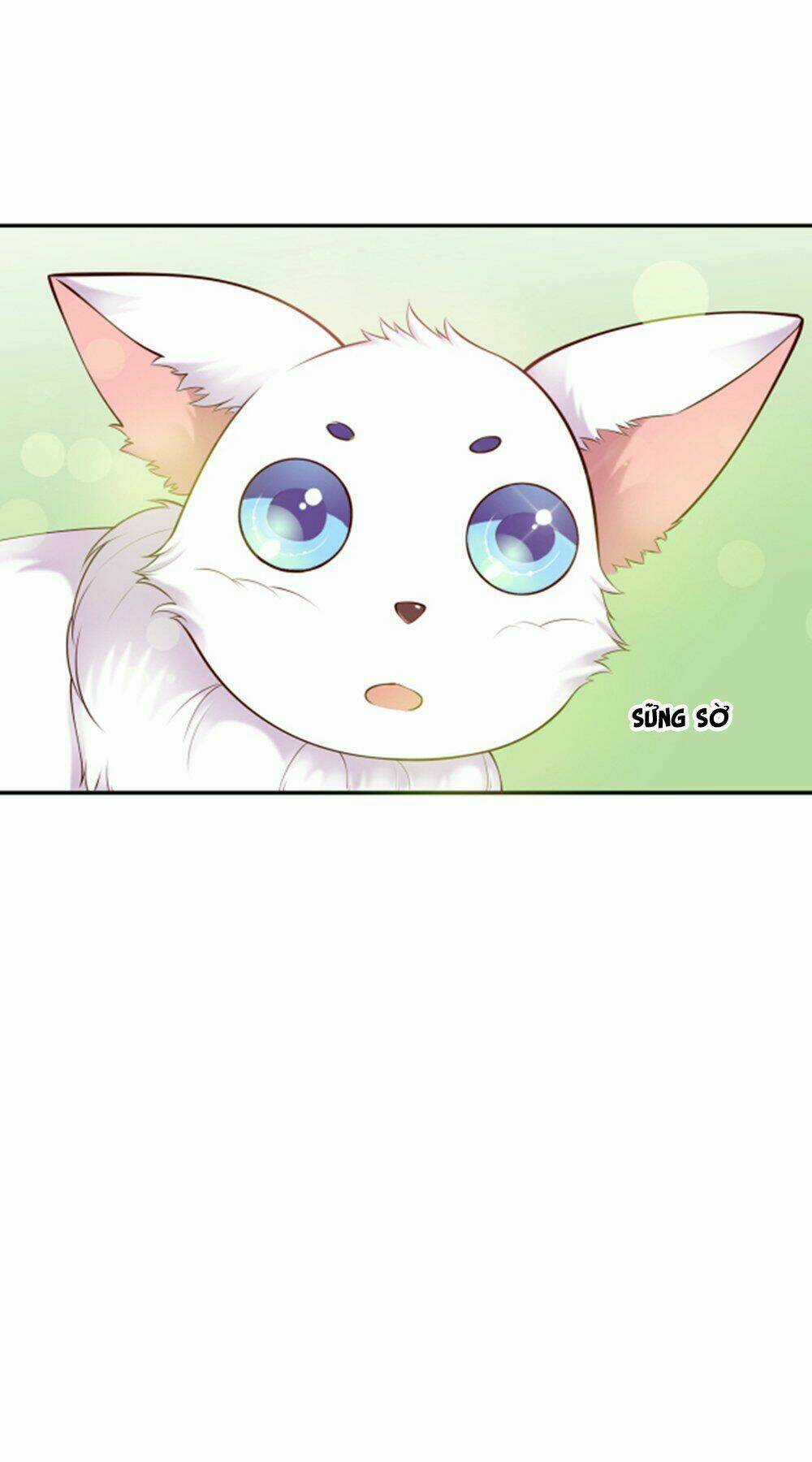 Yêu Phu! Xin Ngươi Hưu Ta Đi Mà! Chapter 11 trang 7