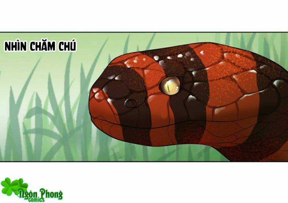 Yêu Phu! Xin Ngươi Hưu Ta Đi Mà! Chapter 49 trang 12