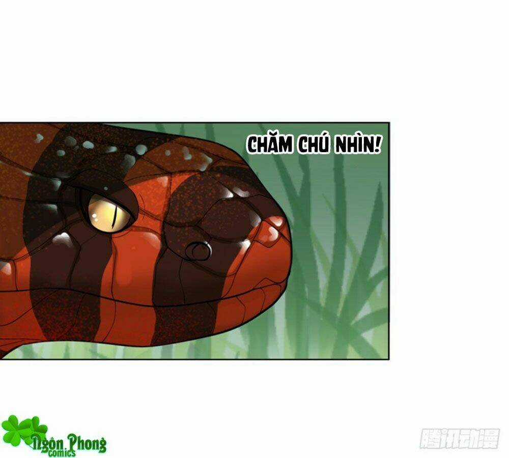 Yêu Phu! Xin Ngươi Hưu Ta Đi Mà! Chapter 49 trang 15