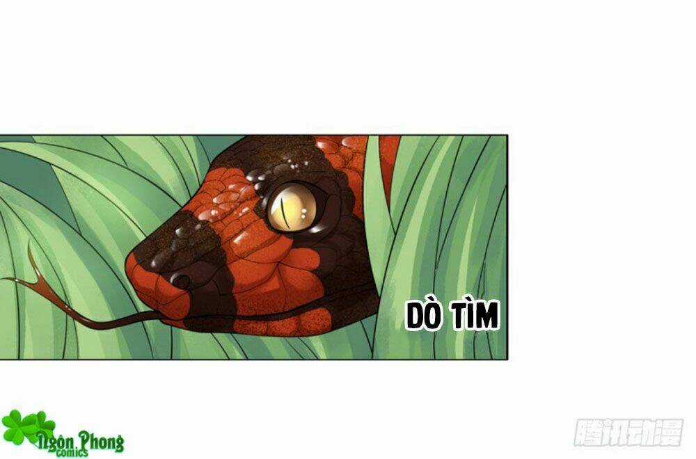 Yêu Phu! Xin Ngươi Hưu Ta Đi Mà! Chapter 49 trang 3