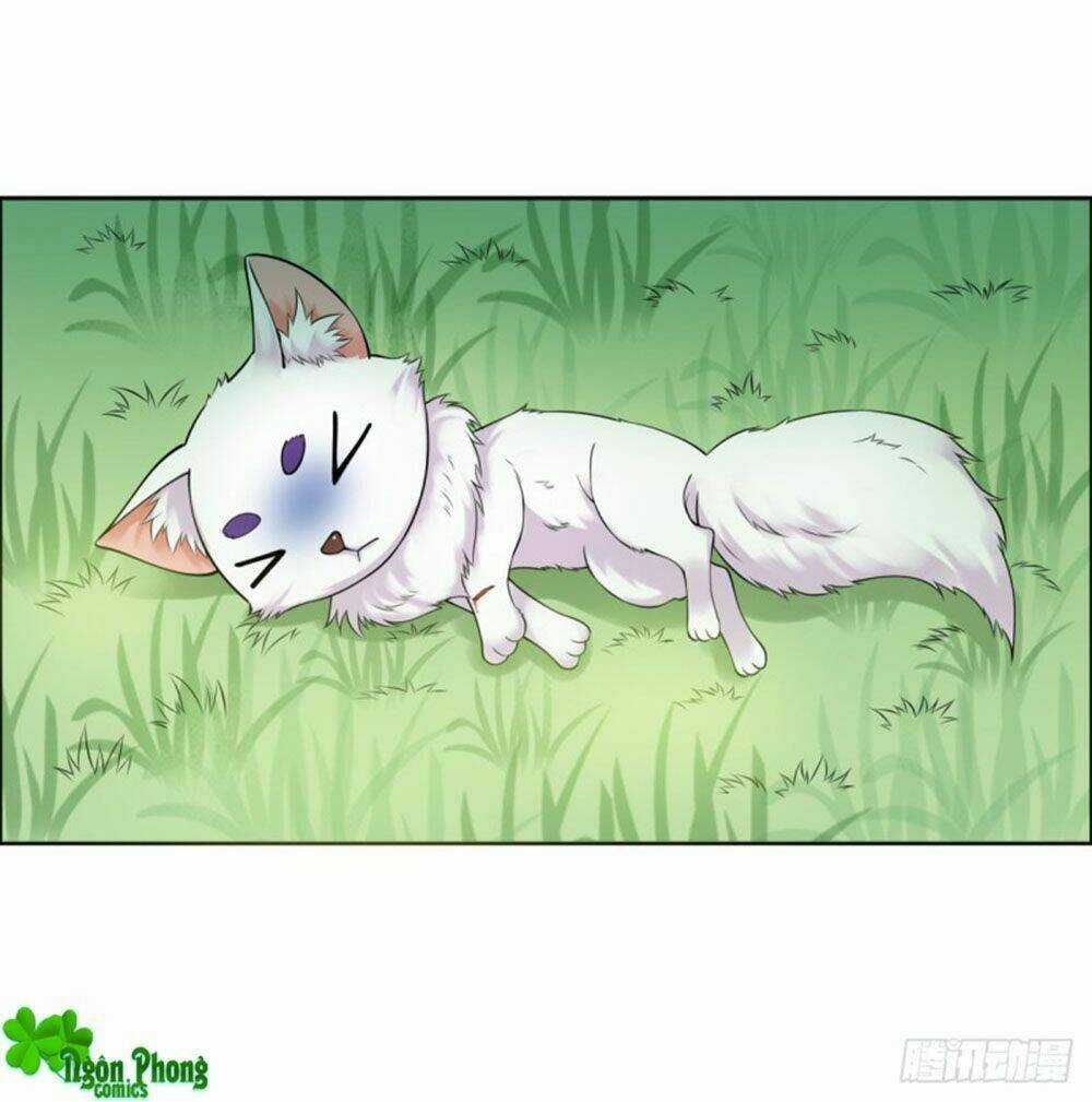 Yêu Phu! Xin Ngươi Hưu Ta Đi Mà! Chapter 49 trang 5