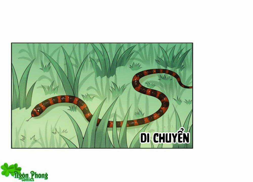 Yêu Phu! Xin Ngươi Hưu Ta Đi Mà! Chapter 49 trang 6