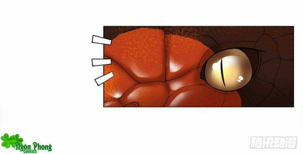 Yêu Phu! Xin Ngươi Hưu Ta Đi Mà! Chapter 49 trang 8