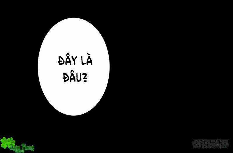 Yêu Phu! Xin Ngươi Hưu Ta Đi Mà! Chapter 61 trang 2