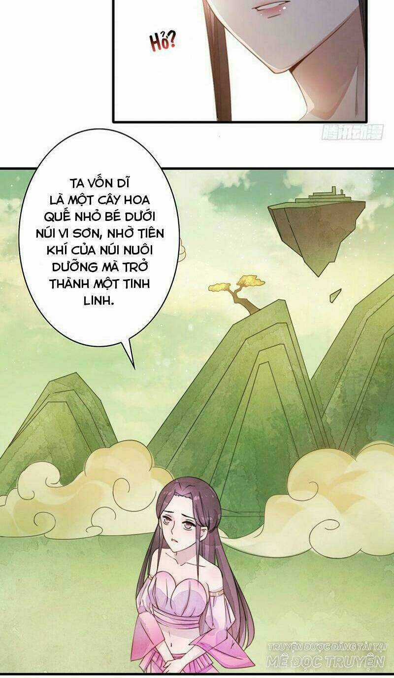 Yêu Tiên Ca Chapter 11 trang 11