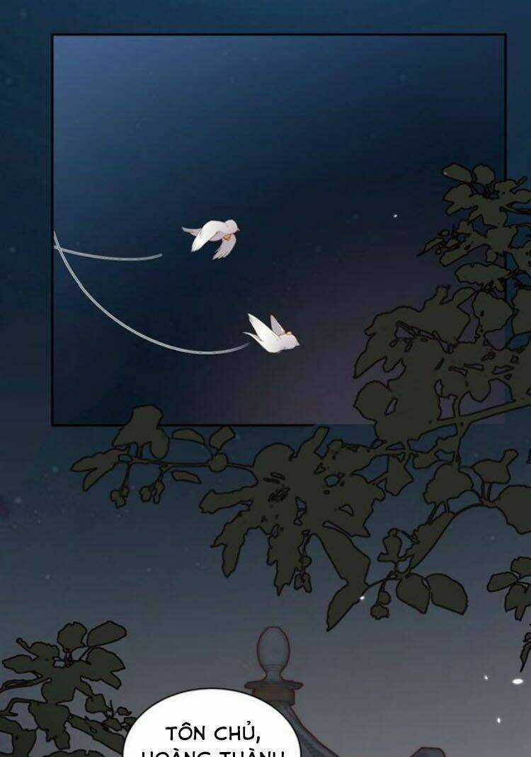 Yêu Tôn Nhất Định Phải Chịu Trách Nhiệm Với Ta Chapter 12 trang 22