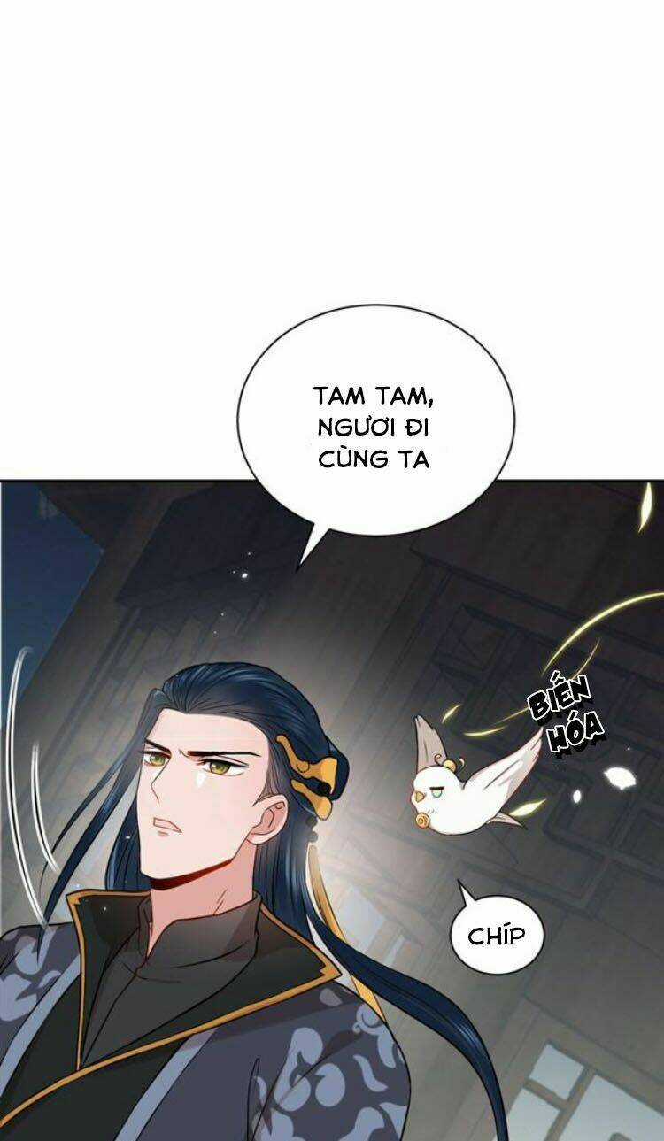 Yêu Tôn Nhất Định Phải Chịu Trách Nhiệm Với Ta Chapter 12 trang 25