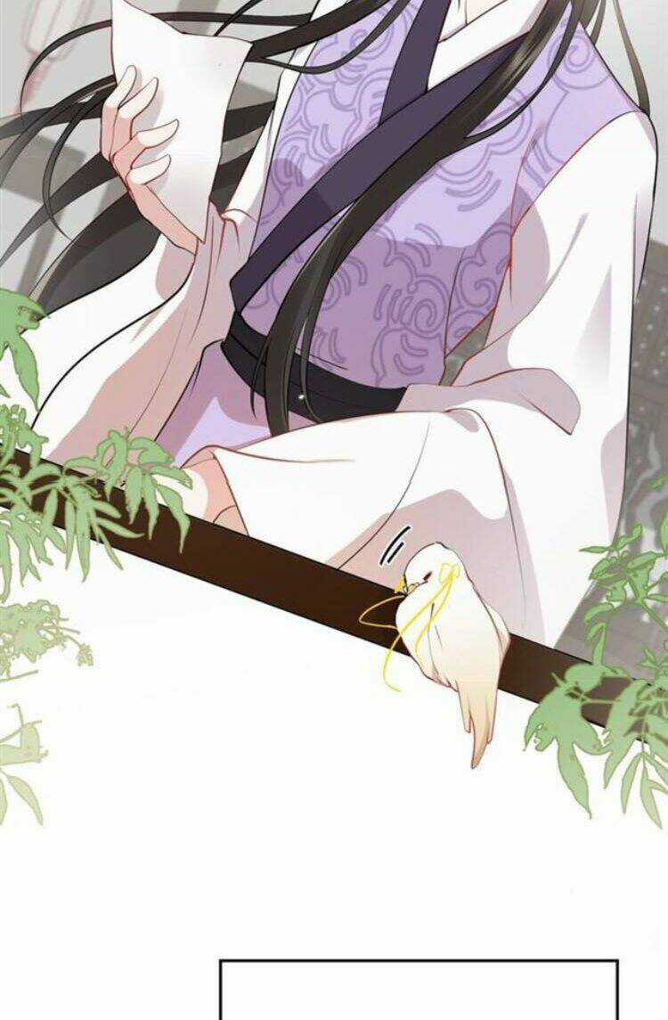 Yêu Tôn Nhất Định Phải Chịu Trách Nhiệm Với Ta Chapter 12 trang 32