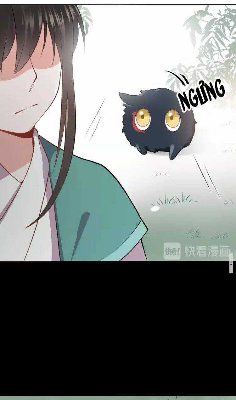 Yêu Tôn Nhất Định Phải Chịu Trách Nhiệm Với Ta Chapter 13 trang 46