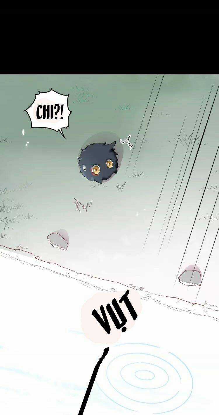 Yêu Tôn Nhất Định Phải Chịu Trách Nhiệm Với Ta Chapter 13 trang 47