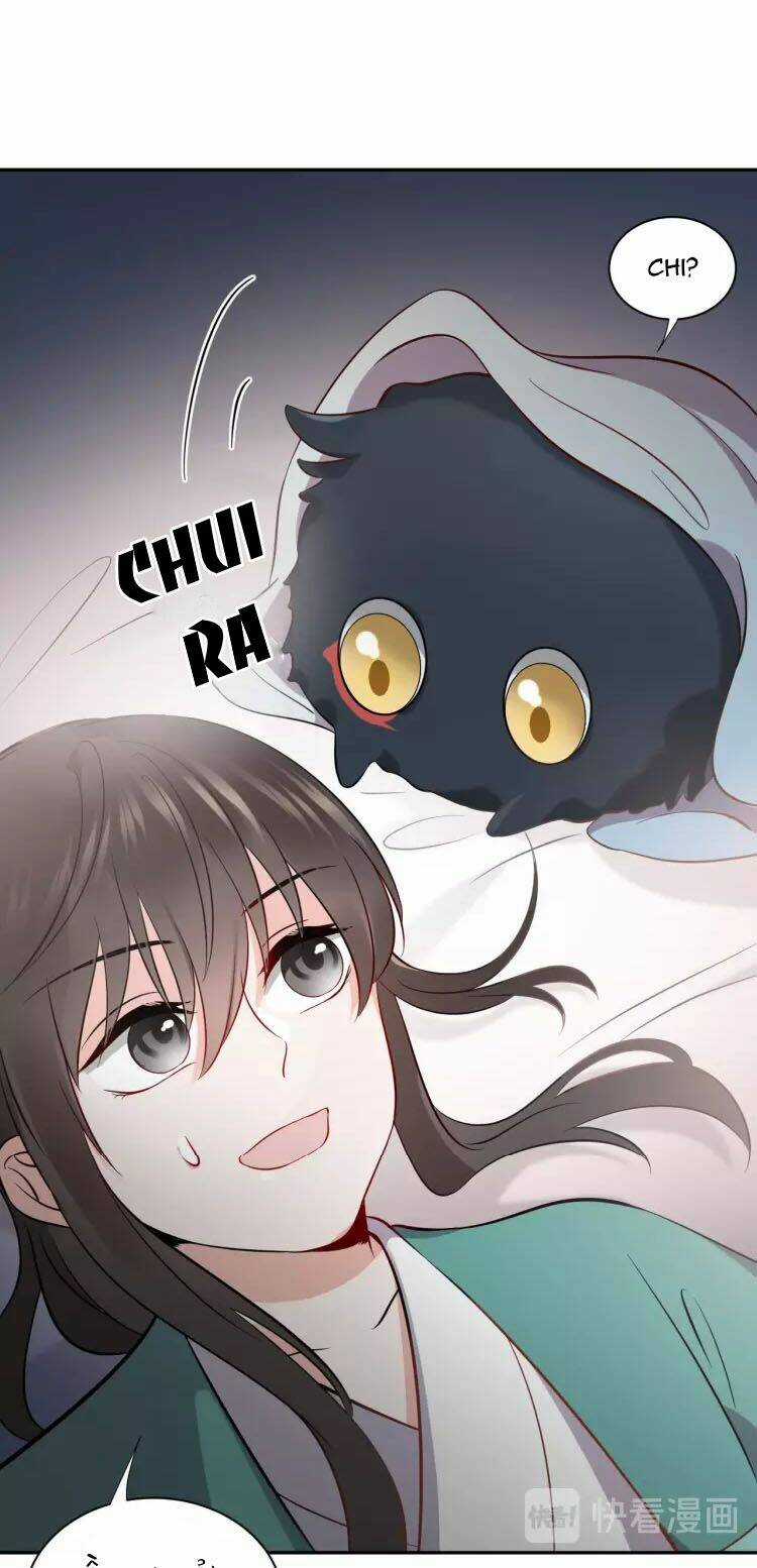 Yêu Tôn Nhất Định Phải Chịu Trách Nhiệm Với Ta Chapter 14 trang 14