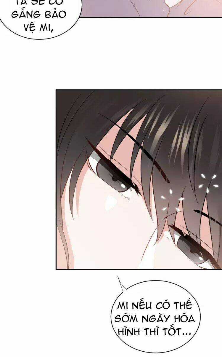 Yêu Tôn Nhất Định Phải Chịu Trách Nhiệm Với Ta Chapter 14 trang 17