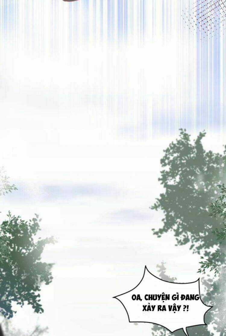 Yêu Tôn Nhất Định Phải Chịu Trách Nhiệm Với Ta Chapter 3 trang 14