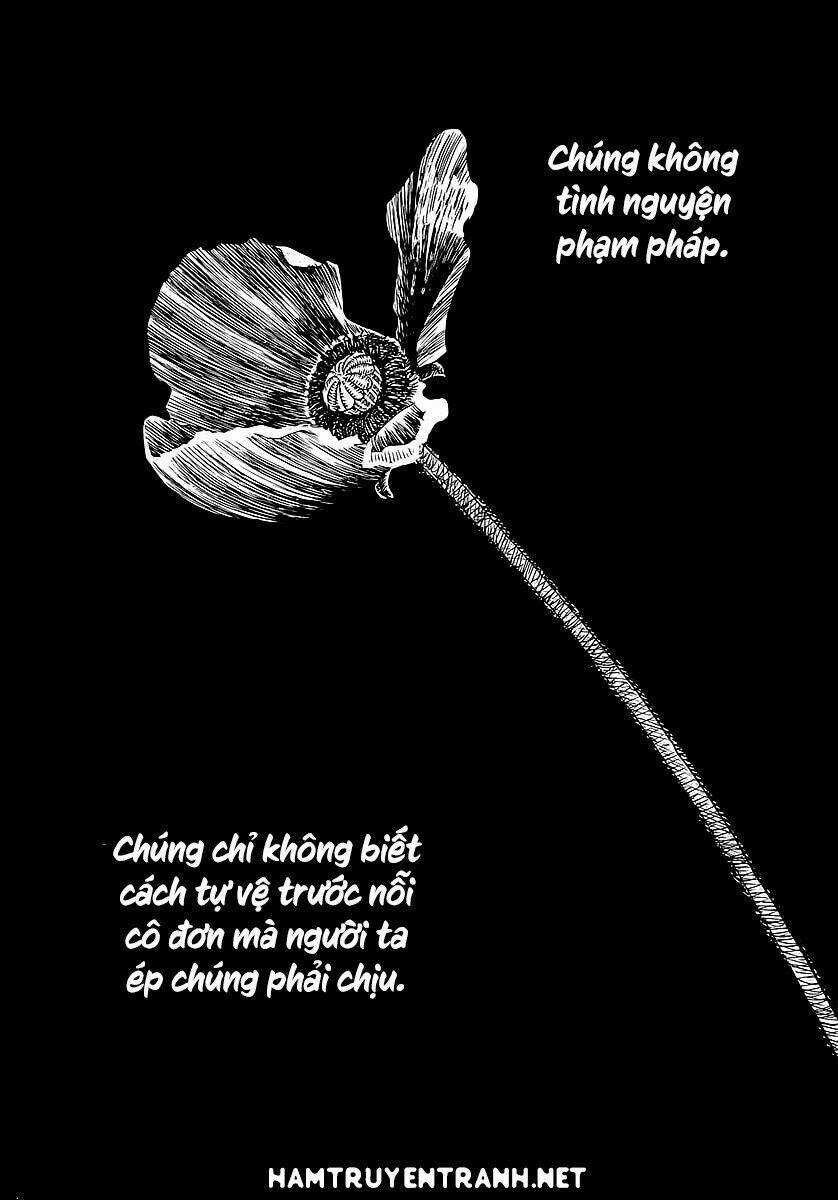 Yomawari Sensei Chapter 2 trang 3