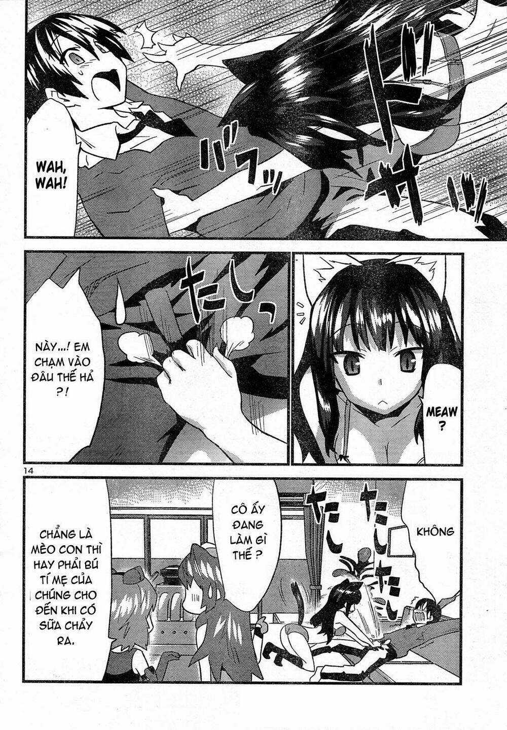 Yomeiro Choice Chapter 27 trang 13