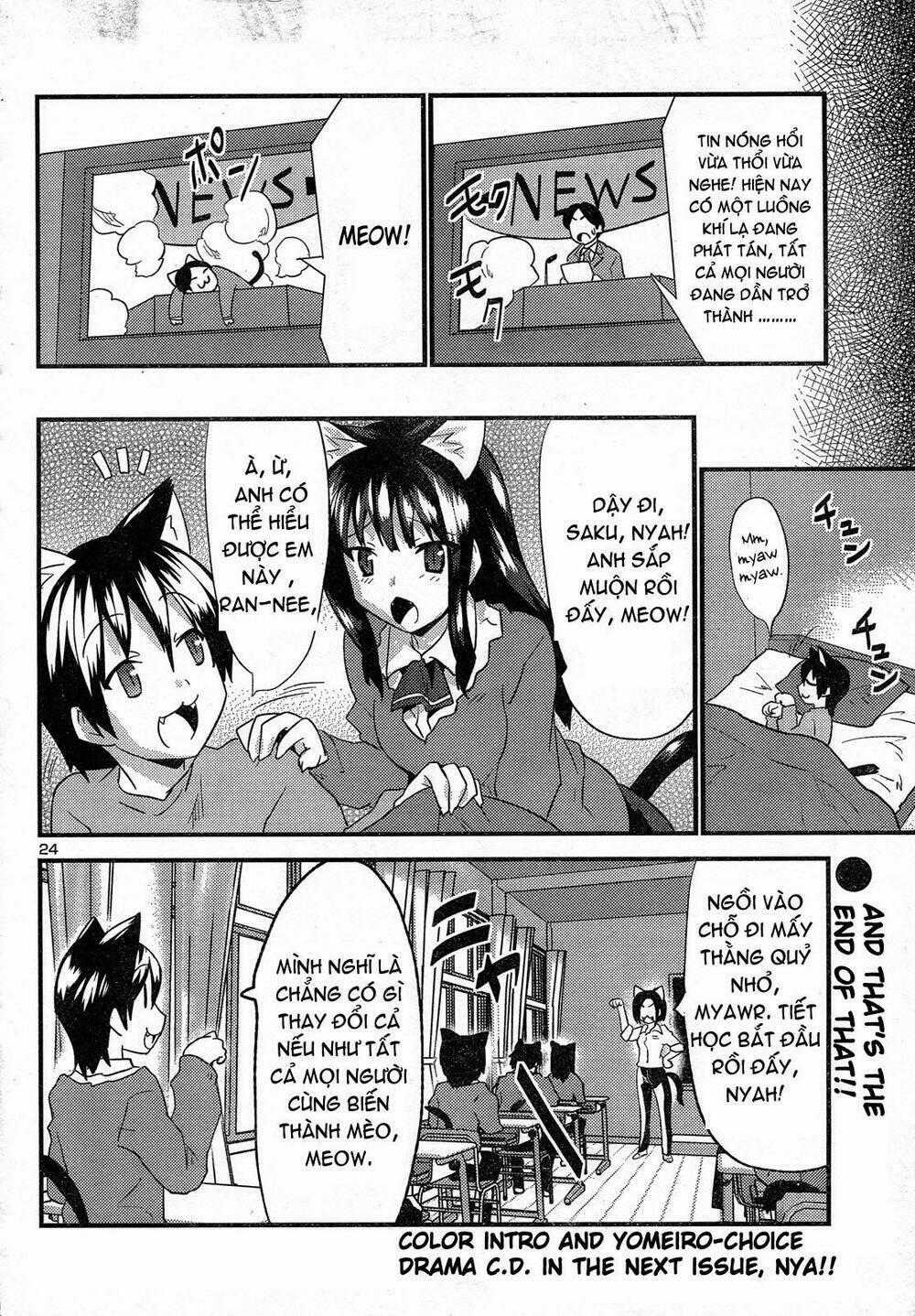 Yomeiro Choice Chapter 27 trang 23