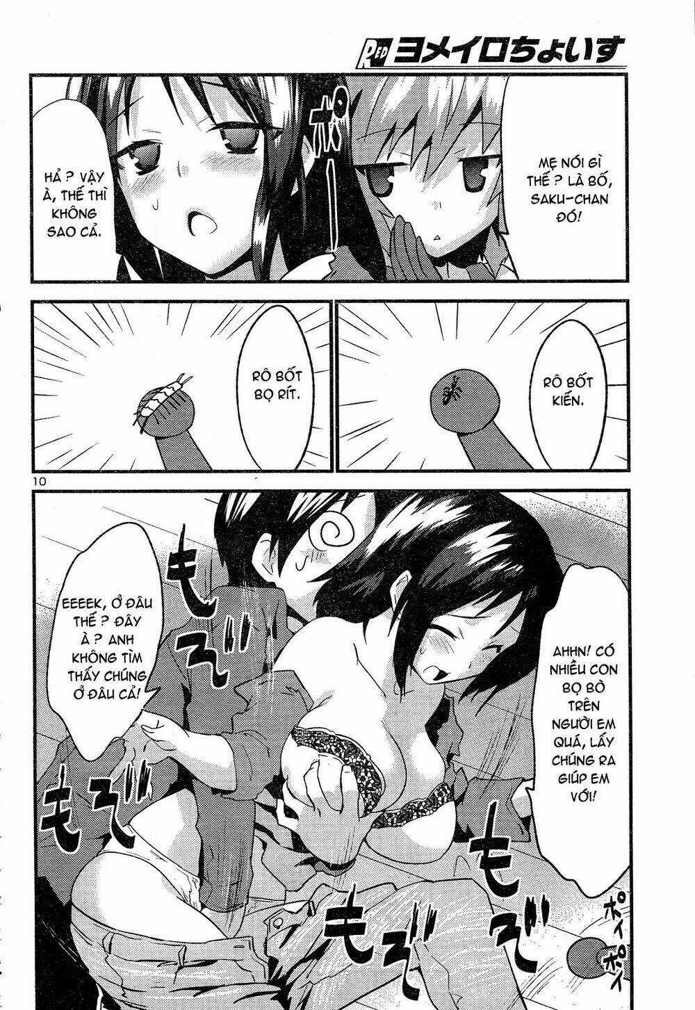 Yomeiro Choice Chapter 36 trang 11