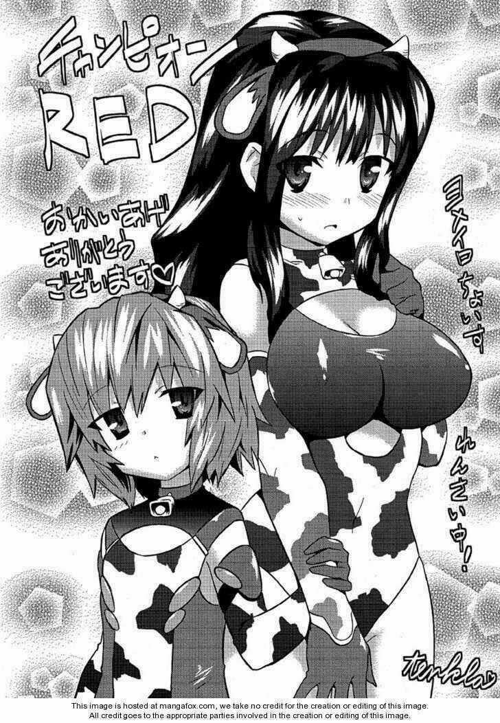 Yomeiro Choice Chapter 7 trang 29