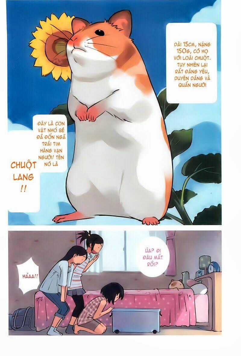Yuruyuru Chapter 7 trang 1